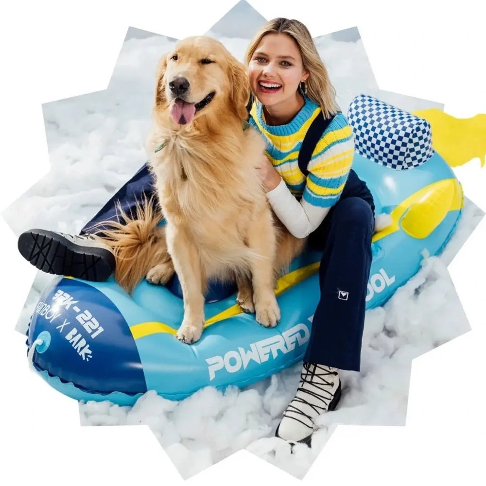 Bark Box Dog Sled!! NEW in box! 250 pound weight limit!!